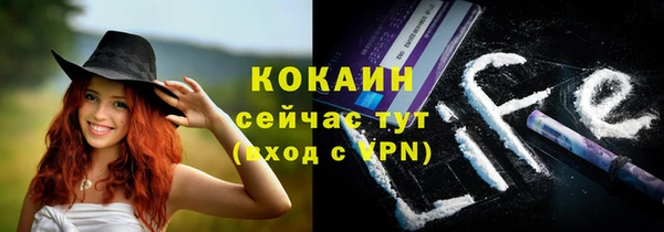 ГАЛЛЮЦИНОГЕННЫЕ ГРИБЫ Алзамай